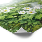 Skeletbloem (Diphylleia grayi) – Kunstprint Poster (Hoek)