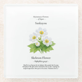 Skeletbloem Onderzetter – Diphylleia grayi
