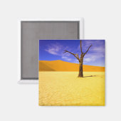 Skeletbomen in Dead Vlei Sossusvlei, Magneet (Voorkant / Achterkant)