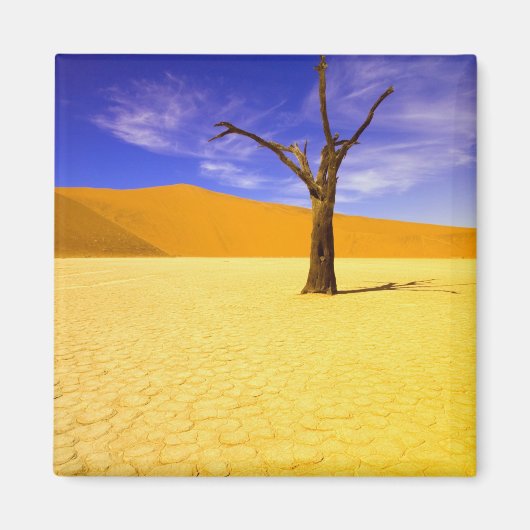 Skeletbomen in Dead Vlei Sossusvlei, Magneet (Voorkant)