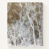 Skeletbos Notitieboek (Achterkant)