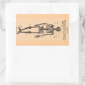 skeletdefinitie rechthoekige sticker (Tas)