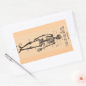 skeletdefinitie rechthoekige sticker (Envelop)