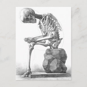 skeletdenken briefkaart