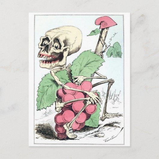 Skeletdruif  briefkaart (Voorkant)