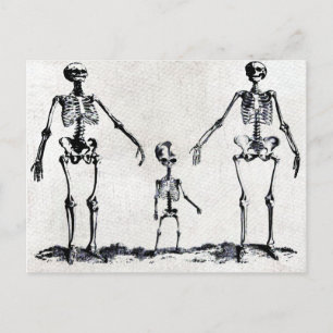 Skeletfamilie Briefkaart