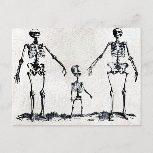 Skeletfamilie Briefkaart (Voorkant)
