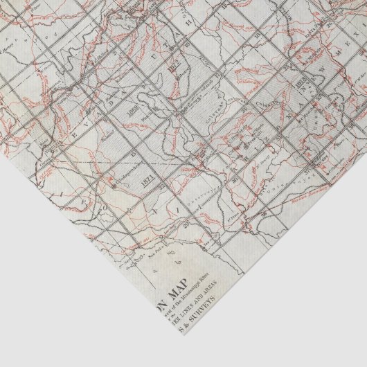 Skeletkaart Tissuepapier (Detail)