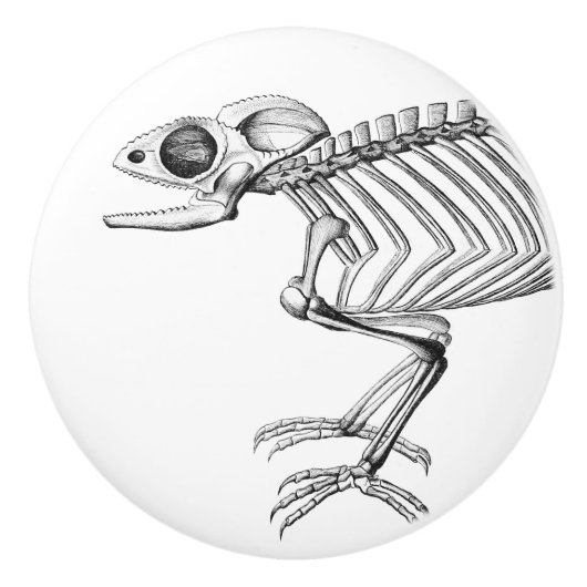  skeletknop keramische knop (Voorkant)