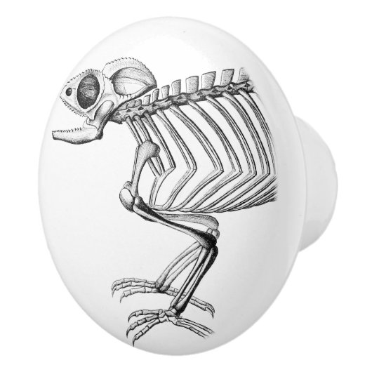  skeletknop keramische knop (Rechts)