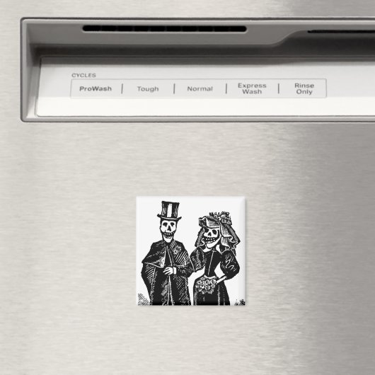 Skeletkoppeling - Magnet #3