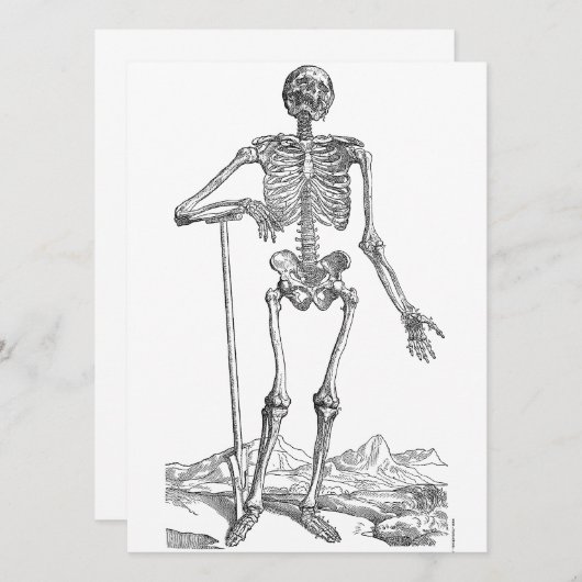 Skeleton (Voorkant / Achterkant)
