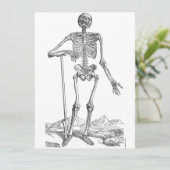 Skeleton (Staand voorkant)