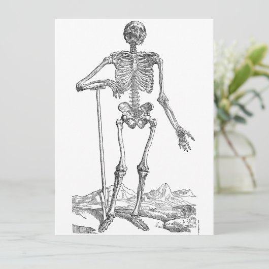 Skeleton (Staand voorkant)