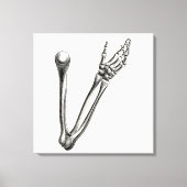 Skeleton Arm Bone Persoonlijke Retro Botten Canvas Afdruk (Voorkant)