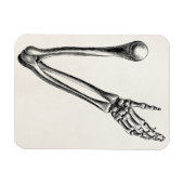 Skeleton Arm Bone Persoonlijke Retro Botten Magneet (Horizontaal)