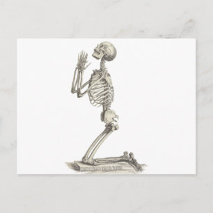 Skeleton Briefkaart