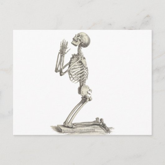  Skeleton Briefkaart (Voorkant)