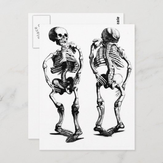 Skeleton Dance briefkaart (Voorkant / Achterkant)