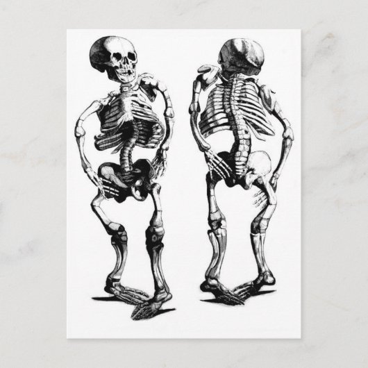 Skeleton Dance briefkaart (Voorkant)