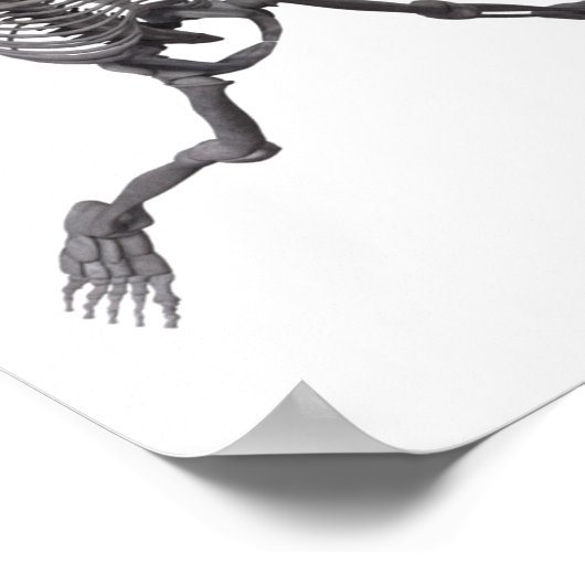 Skeleton Dance Poster (Hoek)