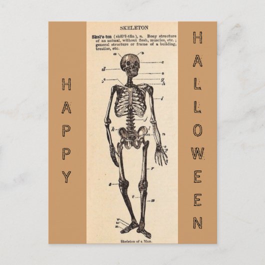 "Skeleton" Definitie Briefkaart (Voorkant)