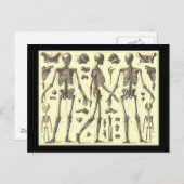  Skeleton Diagrammen Briefkaart (Voorkant / Achterkant)