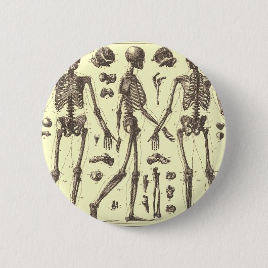 Skeleton Diagrammen Ronde Button 5,7 Cm (Voorkant)