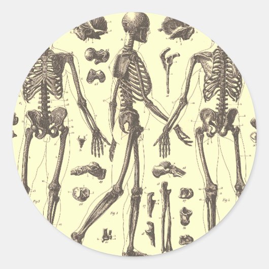 Skeleton Diagrammen Ronde Sticker (Voorkant)