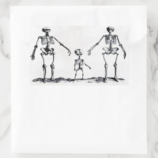 Skeleton Family Sticker (Tas)