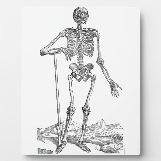 Skeleton Fotoplaat (Voorkant)