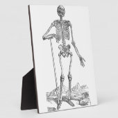 Skeleton Fotoplaat (Zijkant)