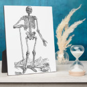 Skeleton Fotoplaat (Zijkant)
