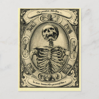 Skeleton, Gothic, Medieval Briefkaart
