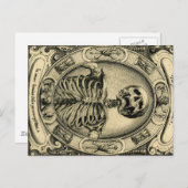 Skeleton, Gothic, Medieval Briefkaart (Voorkant / Achterkant)