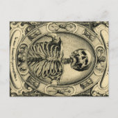 Skeleton, Gothic, Medieval Briefkaart (Voorkant)