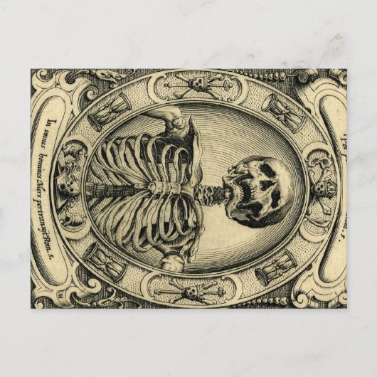 Skeleton, Gothic, Medieval Briefkaart (Voorkant)