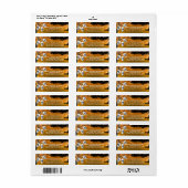 Skeleton Halloween Party Freaky Night Oranje Etiket (Full Sheet)