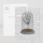 Skeleton Hand in Bell Jar 2 Briefkaart (Voorkant / Achterkant)