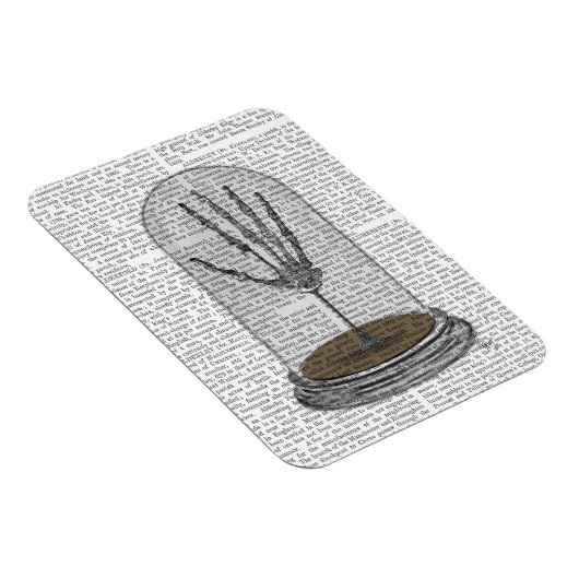 Skeleton Hand in Bell Jar 2 Magneet (Rechterzijde)