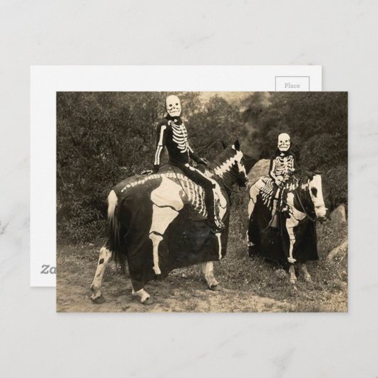 Skeleton Horsperma 1900 Briefkaart (Voorkant / Achterkant)