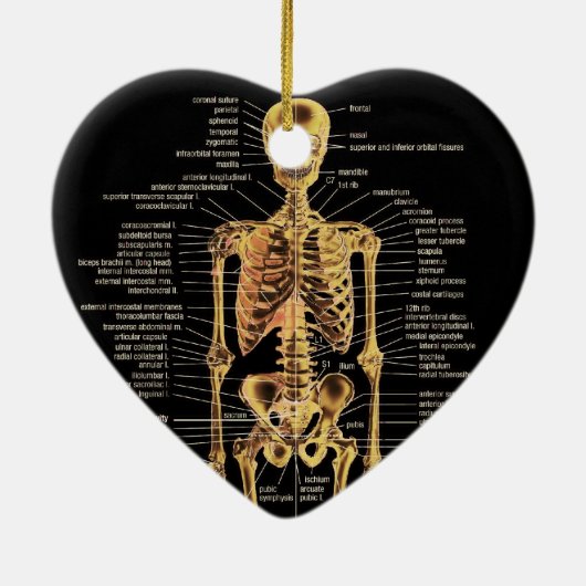 Skeleton Ornament (Achterkant)