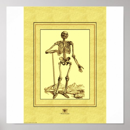 Skeleton Poster (Voorkant)