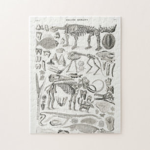 Skeleton Skull Animal Halloween Legpuzzel