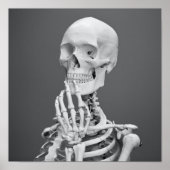 Skeleton Skull Halloween Black en White Grey Poster (Voorkant)