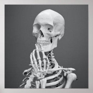 Skeleton Skull Halloween Black en White Grey Poster