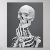 Skeleton Skull Halloween Black en White Grey Poster (Voorkant)