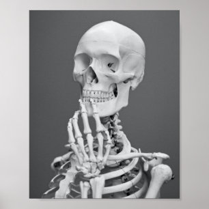 Skeleton Skull Halloween Black en White Grey Poster
