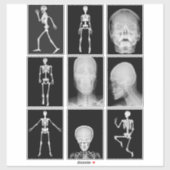 skeleton Skull Human Body XRAYS Collage sheet art Sticker (Vel)