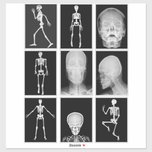 skeleton Skull Human Body XRAYS Collage sheet art Sticker (Vel)